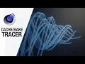 How to Bake or Cache the Tracer object in Cinema 4d to splines