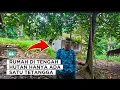 Lagu RUMAH  DI TENGAH HUTAN HANYA ADA SATU TETANGGA