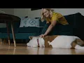 Pet Bed - How To Redeem