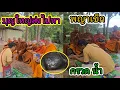 บุญใหญ่ส่งให้พญาเข็ก ​ถวายผ้าไตรเอง 2 ชุด​   ​พระสงฆ์ 7 รูป​ #ท่านหินงูยักษ์ 
