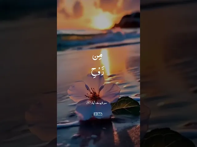 ⁣بسم الله الرحمن الرحيم #آيات_قرآنية #تدبر #سورة_يوسف