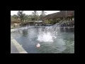 Download Lagu SCREAM IN BUBBLE funny moment