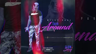 willy paul turn around silver bird records jamaica 