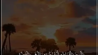 ز ين للناس حب الشهوات عبدالرحمن مسعد 