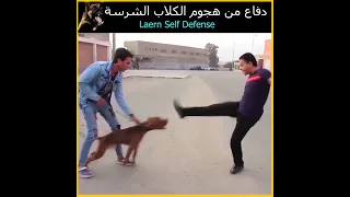 تعلم طريقة الدفاع عن النفس الصحيحة ضد هجوم الكلاب المس      عورة الشرسة   موقف صعب               دندنها