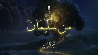 سورة النمل محمد احمد شبيب قرآن كريم دندنها