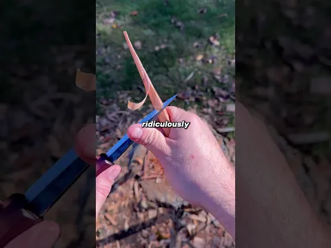 Get Carving Kit in Bio #shorts