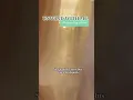 Unwind With Me Massage Day Edition - Memphis TN
