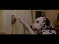 Download Lagu 101 dalmatians (1996) - pongo's morning routine
