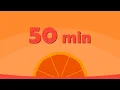 50 Minute Timer Basic Orange