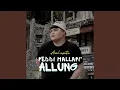 Download Lagu Peddi Mallapi Allung