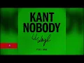 [CLEAN] Lil Wayne - Kant Nobody (feat. DMX)