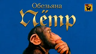 📖 Как обезьяна по имени Пётр стал Человеком