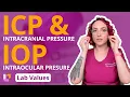 Intracranial Pressure ICP Intraocular Pressure IOP Adult Lab Values LevelUpRN