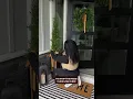 Transform Your Small Porch for the Holidays with Amazon Decor