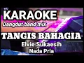 Download Lagu TANGIS BAHAGIA - Elvie Sukaesih | Karaoke dut band mix nada pria | Lirik