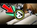 Download Lagu 😱 PAPER MILL ACCIDENT (PT.2)