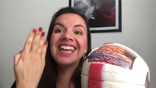 A CIÊNCIA POR TRÁS: MOVIMENTOS QUE MELHORAM O FOCO DOS SEUS OLHOS.
