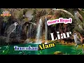 Download Lagu suara trucukan alam liar || terapi pancingan