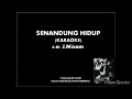Download Lagu Senandung hidup -J.Mizan