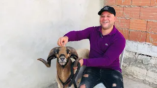 دار ببوشة جبل جلود من اقدم المغرمة 