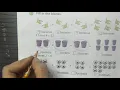 Class 1 - Multiplication by Repeated Addition