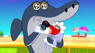 हिंदी Zig & Sharko ✨ NEW SEASON 3 👶 नया शिशु Hindi Cartoons for Kids