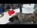 Missoula Animal Services provides winter pet safety tips