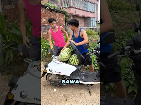 Nekat Curi Semangka, Ternyata Busuk Parah! 😂🍉