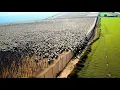 Download Lagu Ze lachten om Australië omdat het duizenden kilometers aan hekken bouwde... Tien jaar later komt ...