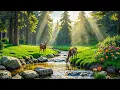 Beautiful Relaxing Music - Just Listen and Feel the Calm with Birdsound