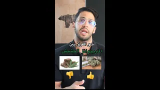 الفرق بين الحشيش والماريجوانا الحشيش ماريجا المخدرات الادمان السعودية 
