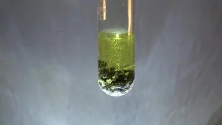 Lead II Chloride Synthesis PbCl2