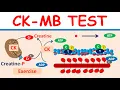 Lagu Creatine kinase MB (CK-MB) test and it's significance