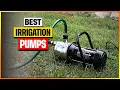 Best Irrigation Pumps in 2026 - Expert s Top 6 Picks You Must See