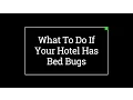10 Steps To Follow If Your Hotel Has Bed Bugs Bed Bug Lawyers