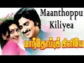 Download Lagu Manthoppu Kiliye || Tamil Full Movie || Sudhakar, Deepa, Suruli Rajan || Shankar–Ganesh || HD
