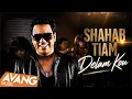 Shahab Tiam - Delam Kou