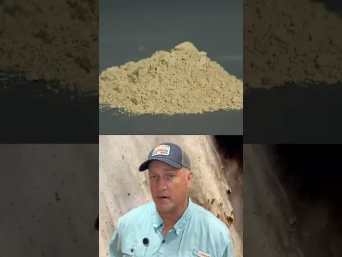Movie Dirt #shorts