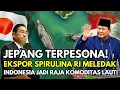 Download Lagu INDONESIA KUASAI LAUT! Mikroalga \u0026 Spirulina RI Diterkam Dunia
