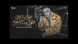 طول ماانا عالي طول ماانا ناجح   حمو المرشدي دندنها