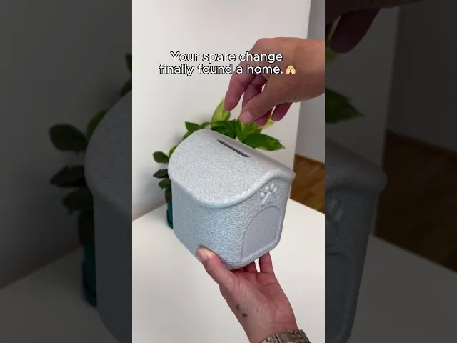 DOG HOUSE PIGGY BANK video thumbnail