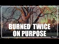 The Town That Burned Its Own Beginning - Corvallis Dark Secret