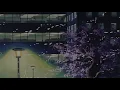 tayler holder - 100 rounds (slowed + reverb)