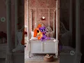 Download Lagu POV Catnap X Dogday | Smiling Critters \u0026 Poppy Playtime