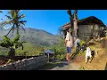 Download Lagu Potret Keindahan Suasana Pelosok Desa Gunungkidul Dengan Beragam Aktivitas Penduduknya