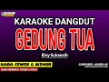 Download Lagu GEDUNG TUA KARAOKE DANGDUT - ELVY SUKAESIH
