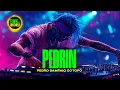 Download Lagu PEDRO SAMPAIO, DJ TOPO - PEDRIN