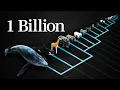 Why does every mammal get 1 billion heartbeats in their life