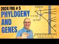 2024 FRQ 5 Unveiled Phylogenetic Trees and Gene Structure